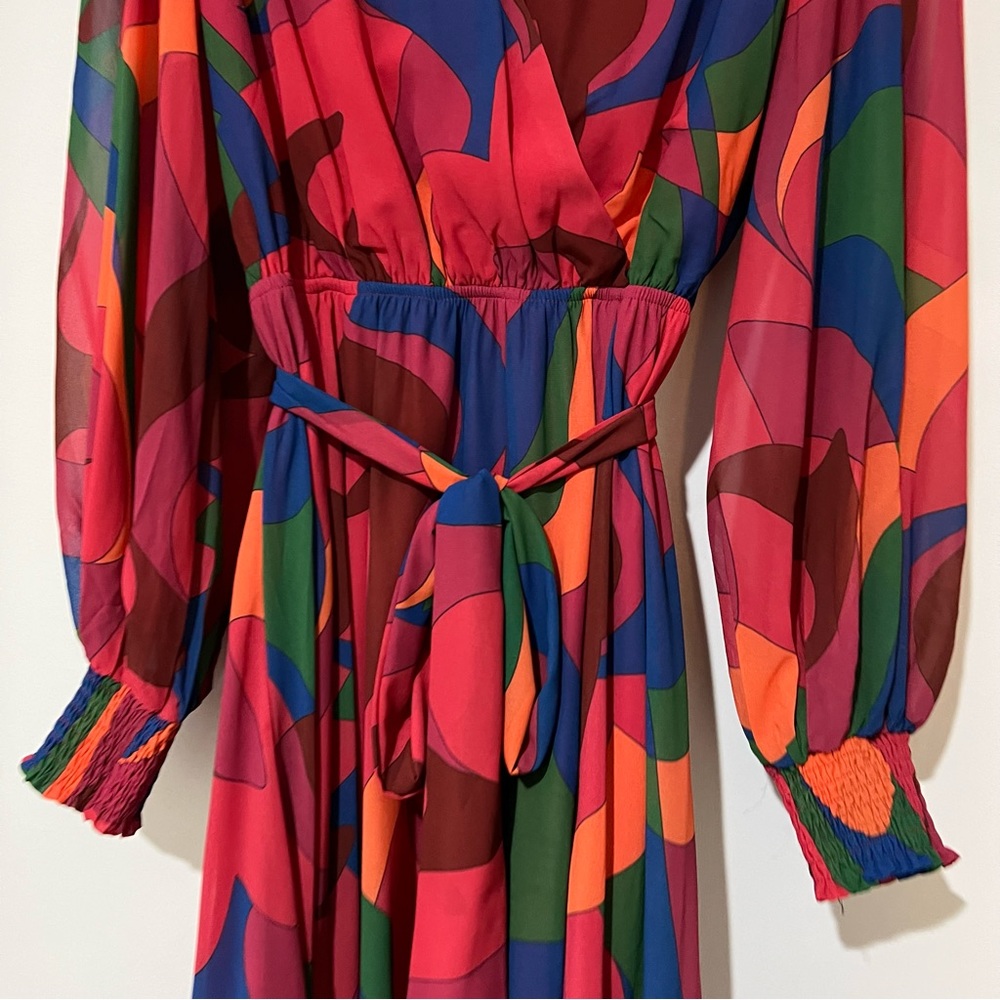 Boutique Brand Printed Long Sleeve Maxi Dress - Picture 10 of 10